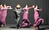 Flamenco dance dress Encaje Model |  Vestido baile flamenco Modelo Encaje