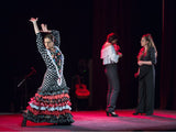 Flamenco dance skirt Alegrias | Falda baile flamenco Alegrias