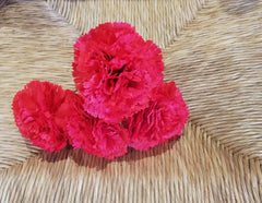 Flamenca Flowers | Claveles, flores para flamenco rojo