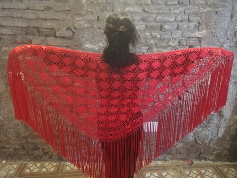 Mantón artesanal flecos de seda / Hand made shawl silk friges